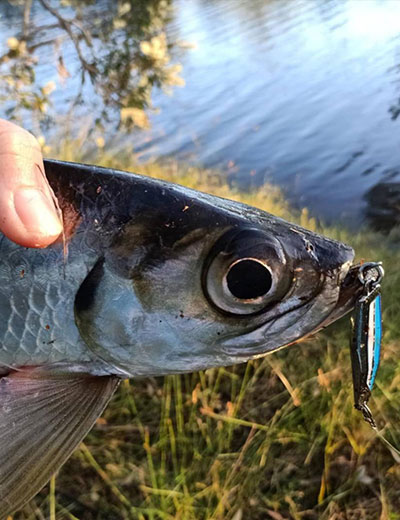Perry Fishing Gallery