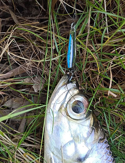 Perry Fishing Gallery