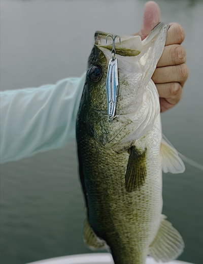 Perry Fishing Gallery