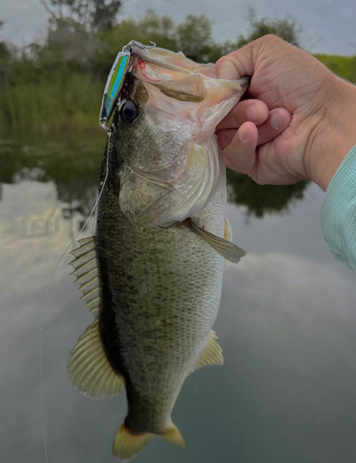 Perry Fishing Gallery